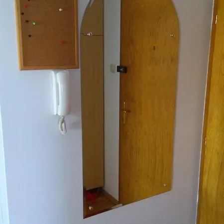 Jelena * Нови-Сад